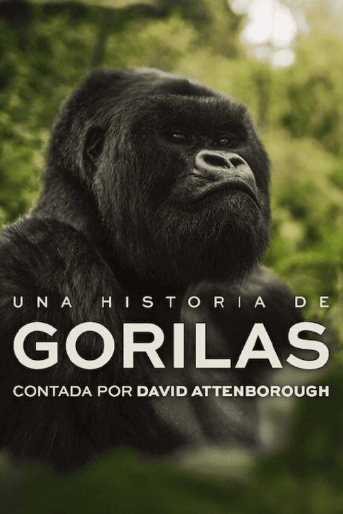 Una historia de gorilas contada por David Attenborough (2026) HD 1080p Latino