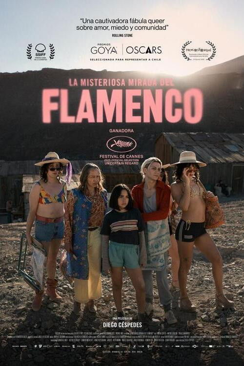 La misteriosa mirada del flamenco (2025) HD 1080p Latino